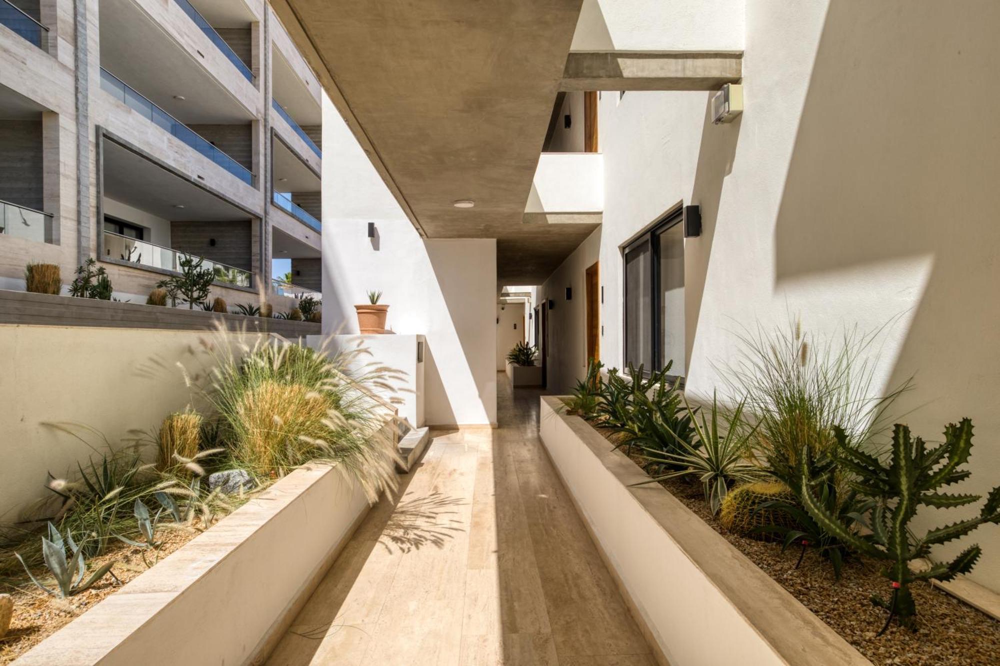 Marella Cabo Apartment San Jose del Cabo Luaran gambar